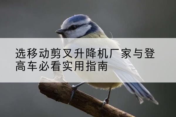 连江电动升降机厂家-选移动剪叉升降机厂家与登高车必看实用指南