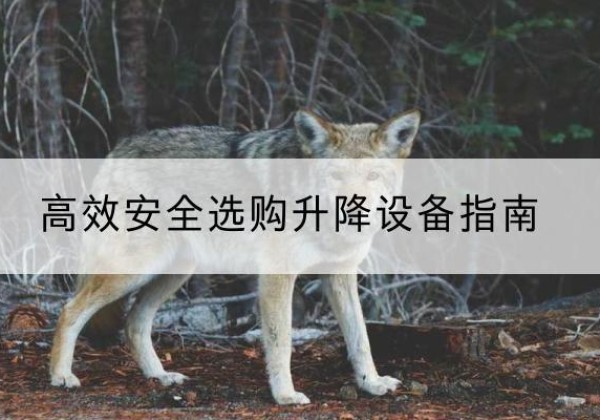 连江升降货梯厂家推荐-*安全选购升降设备指南