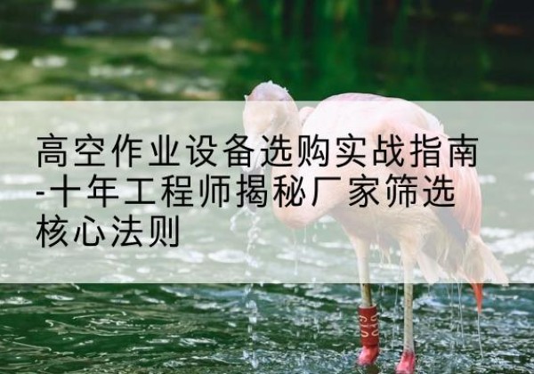 连江剪叉式升降机厂家-高空作业设备选购实战指南-十年工程师揭秘厂家筛选核心法则